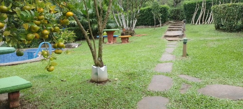 Pochote Lodge photo