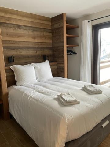 Magnifique chalet sur les pistes, le Paradis c'est là! - 4