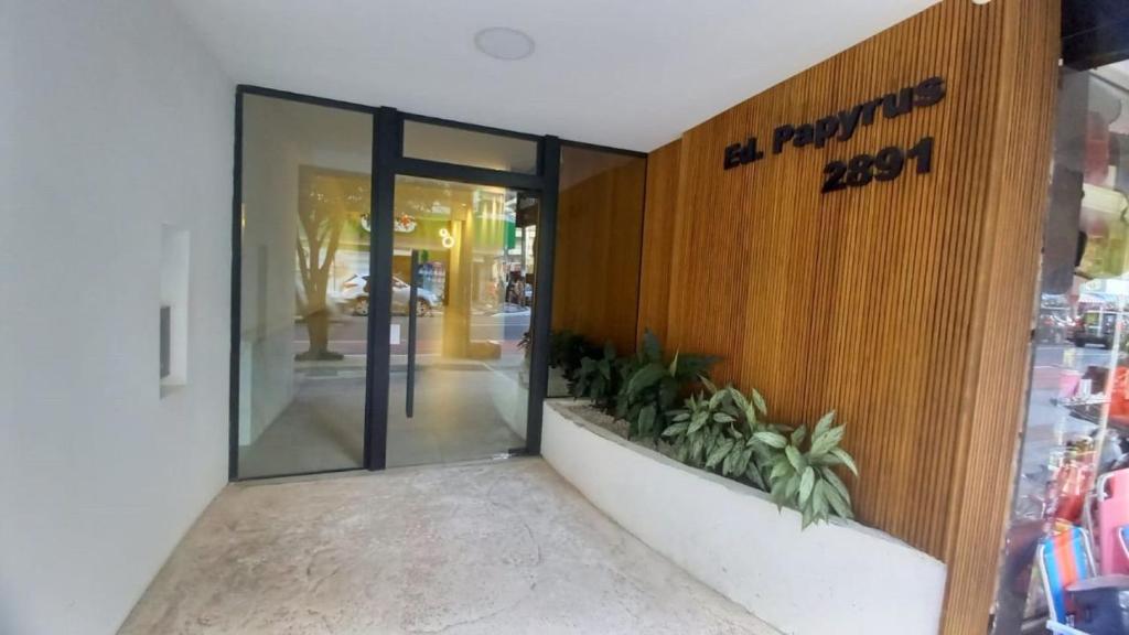 Ap Papyrus - Balneário Camboriú-SC