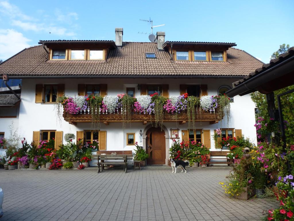 Haus Ploner - Pichlerhof - 1