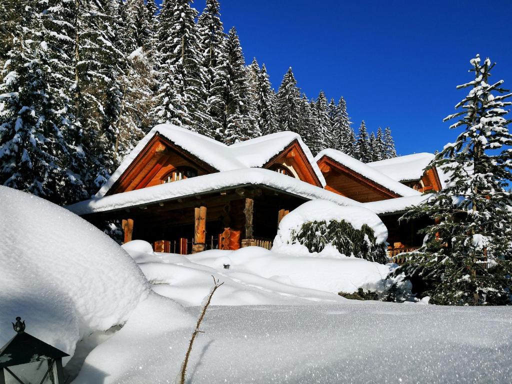 Chalet Caprea - 2