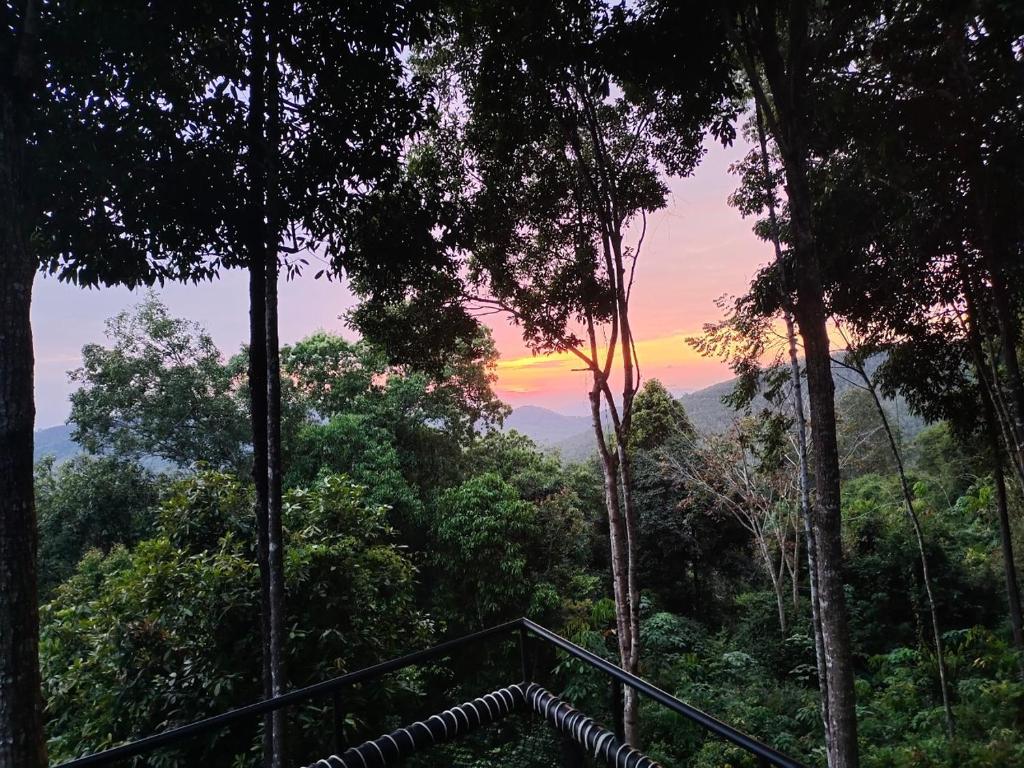 Surrounding environment