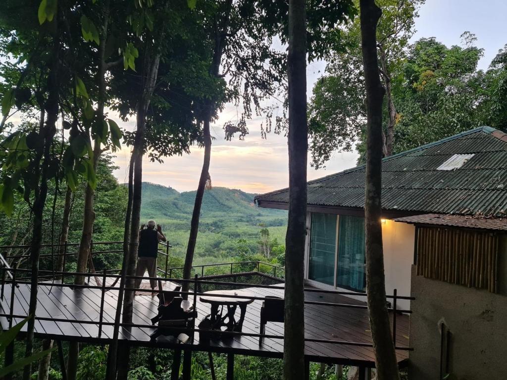 View