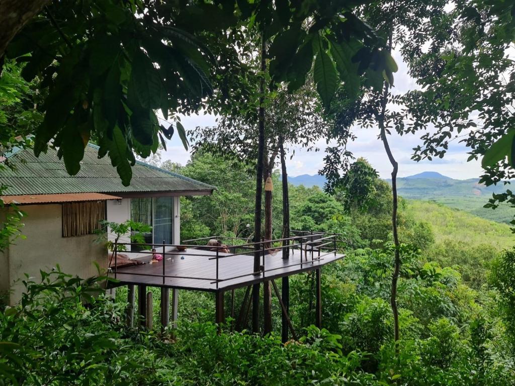 Surrounding environment