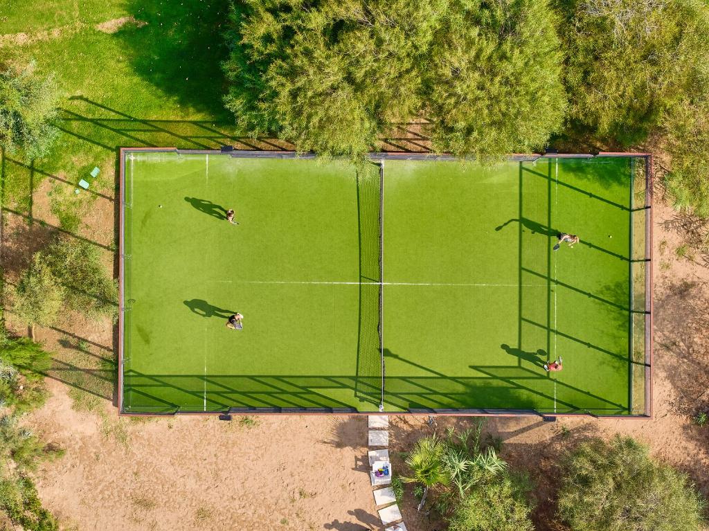 Tennis court