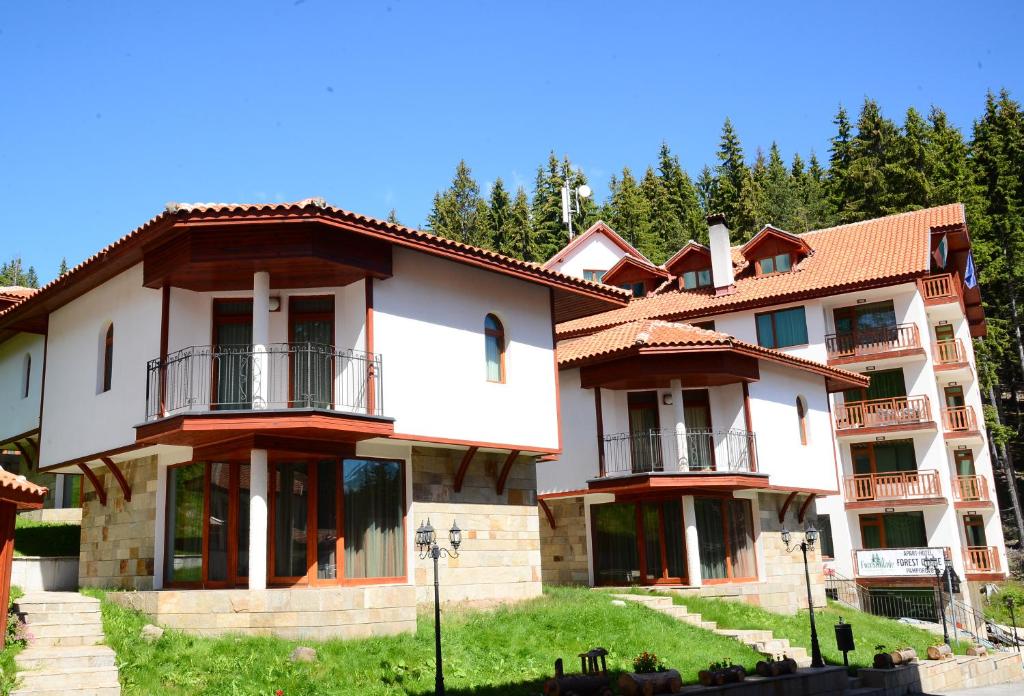 Ski Chalets at Pamporovo - an affordable village holiday for families or groups photo
