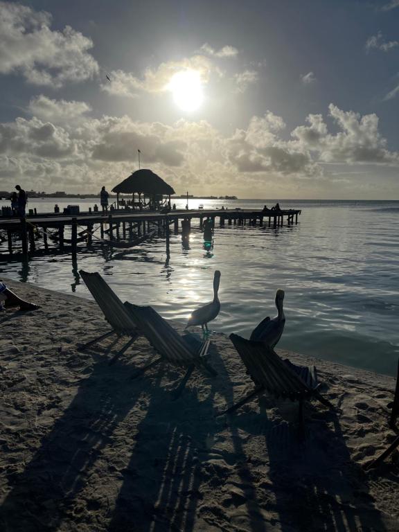 DreamCabanas photo