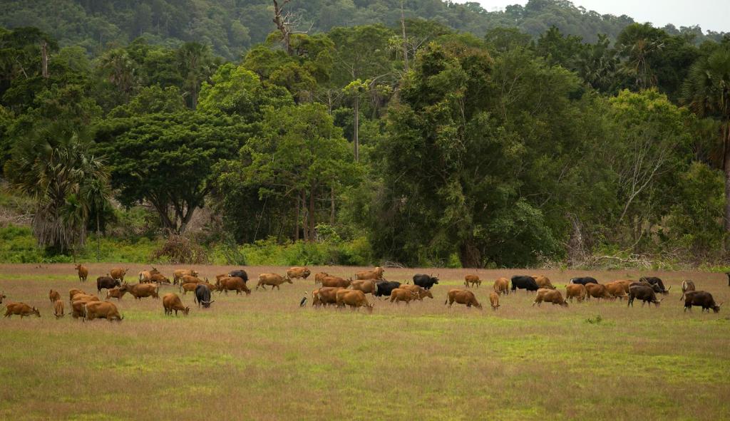 Attrezzature e servizi