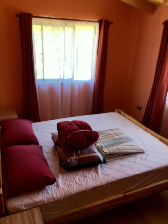 Casa Lago Caburgua - 4