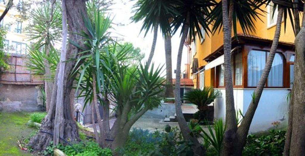 Villa Orchidea photo