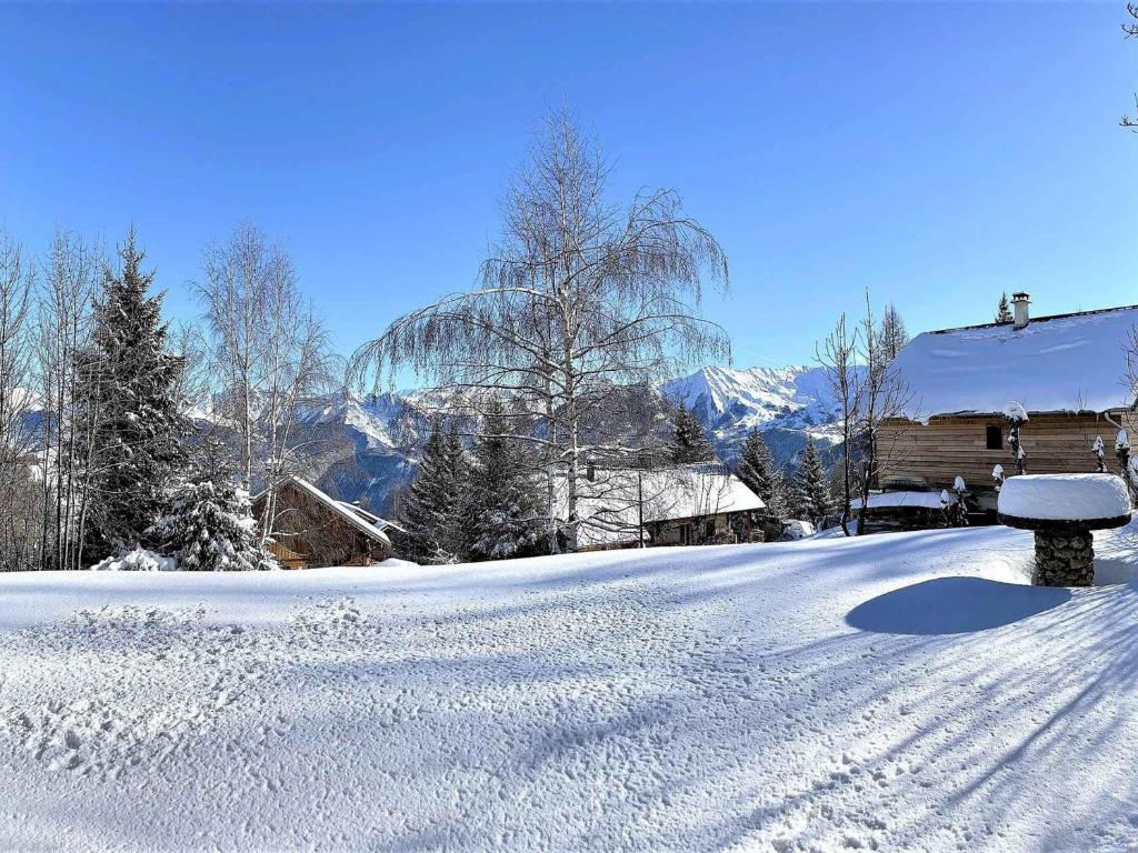 Appartement Chalet 46m², Garage, Proche Pistes, WIFI - 4