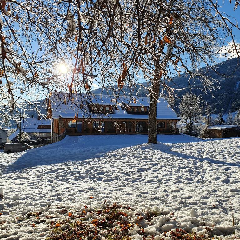 Nest Lodge - 3