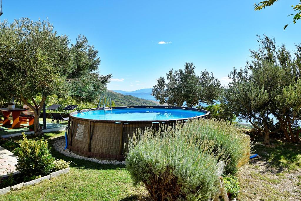 Villa Vesna photo