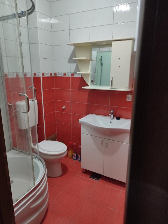 Janković apartman - 5