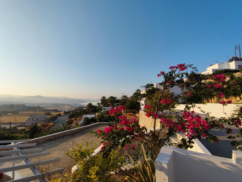Agnanti Hotel photo