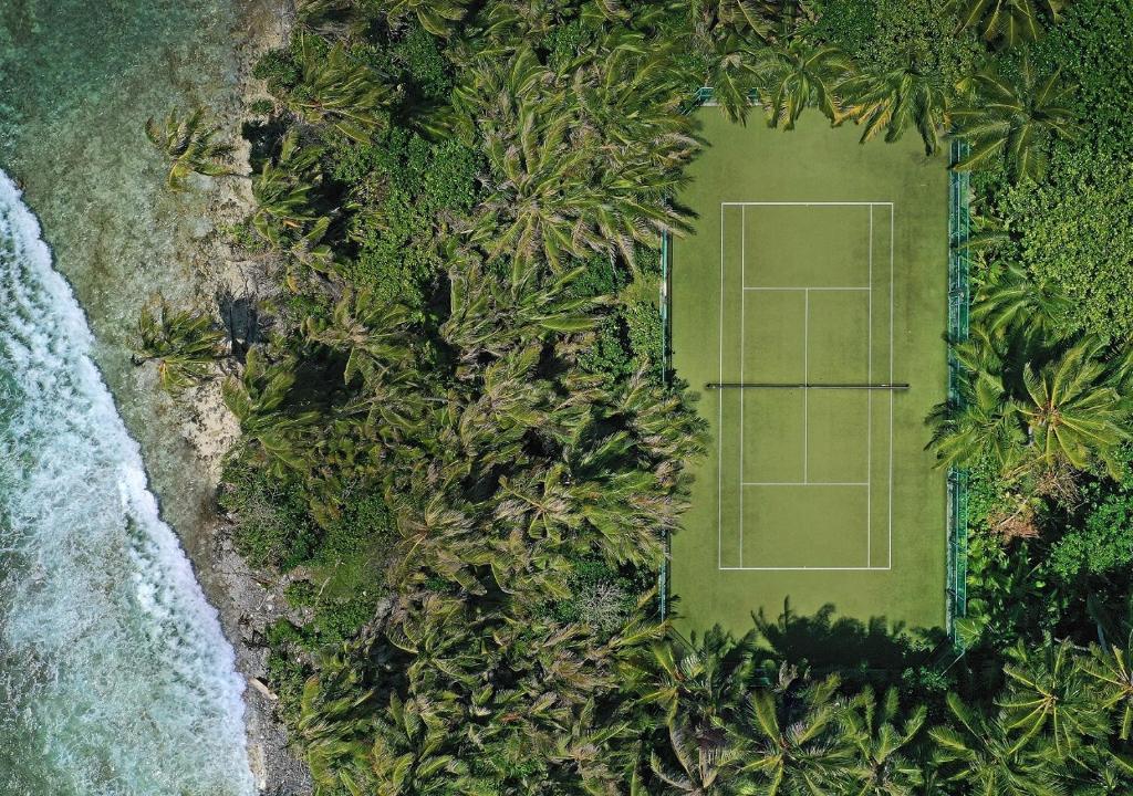 Tennis court
