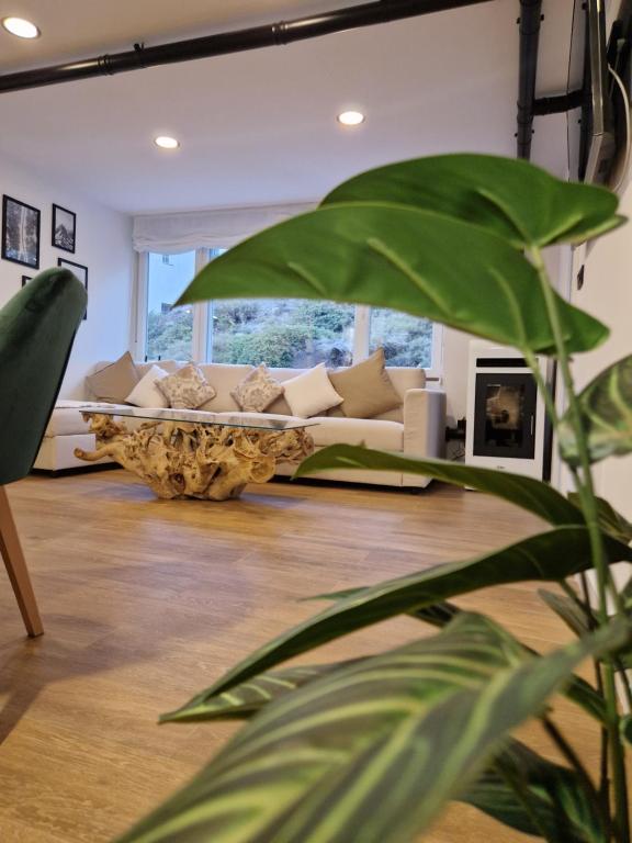Brand New Apartment very cosy and awesome display close to the ski slope! private parking - 3