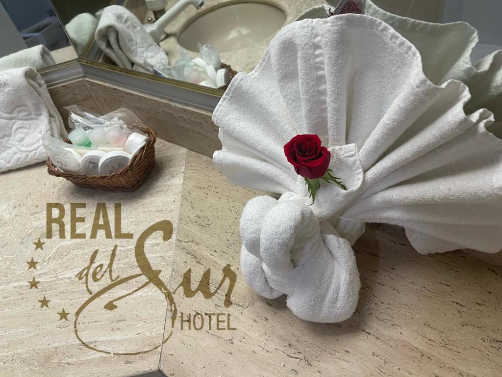 Hotel Real del Sur photo