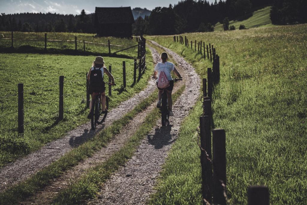 Sports and activities