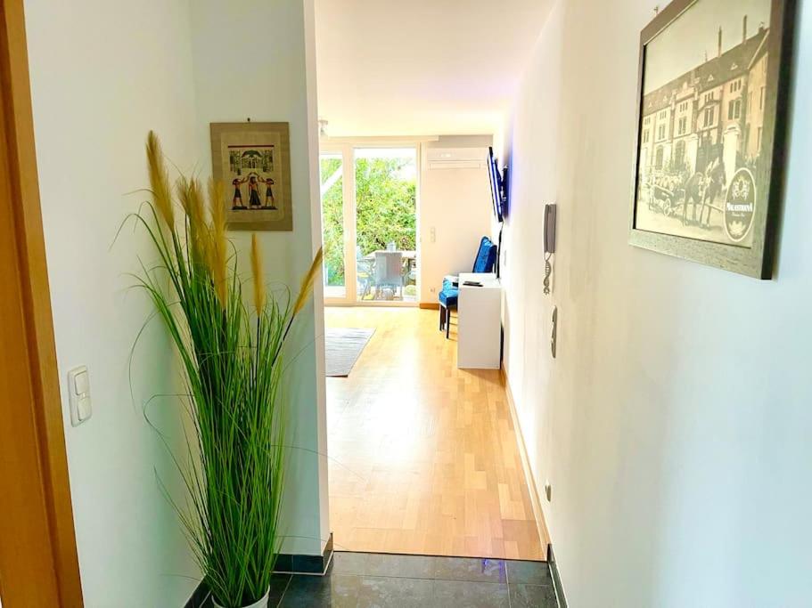 Schöne Wohnung mit eigenen Eingang und Terrasse - 5