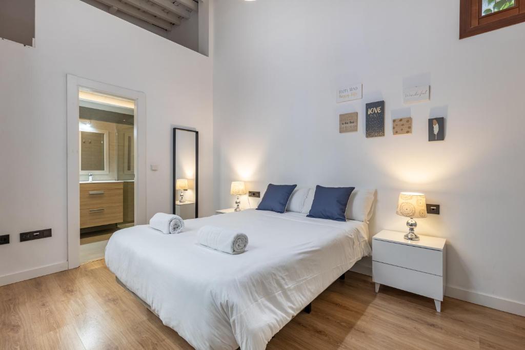 Apartamentos Granada Deluxe 3000 - 2