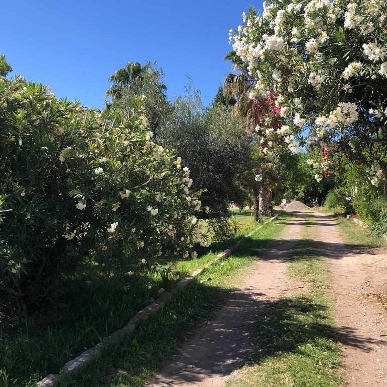 San Rafael del Diamante apartamentos - 2