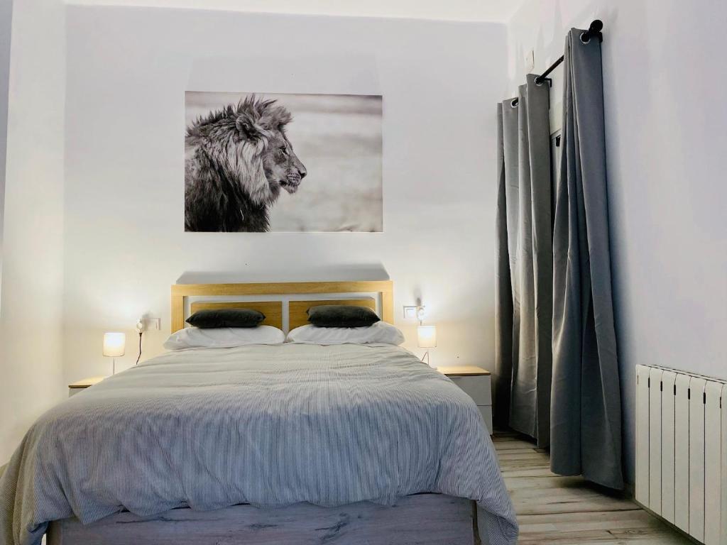 Apartamento COSTASOL PLAZA Córdoba - TrassierraRooms - 2