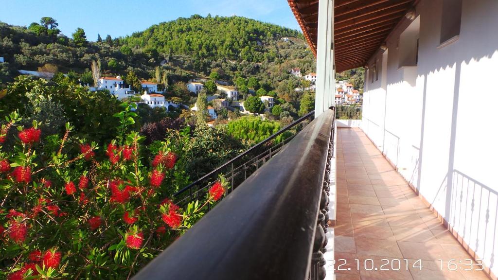 Skiathos Studios Panorama photo