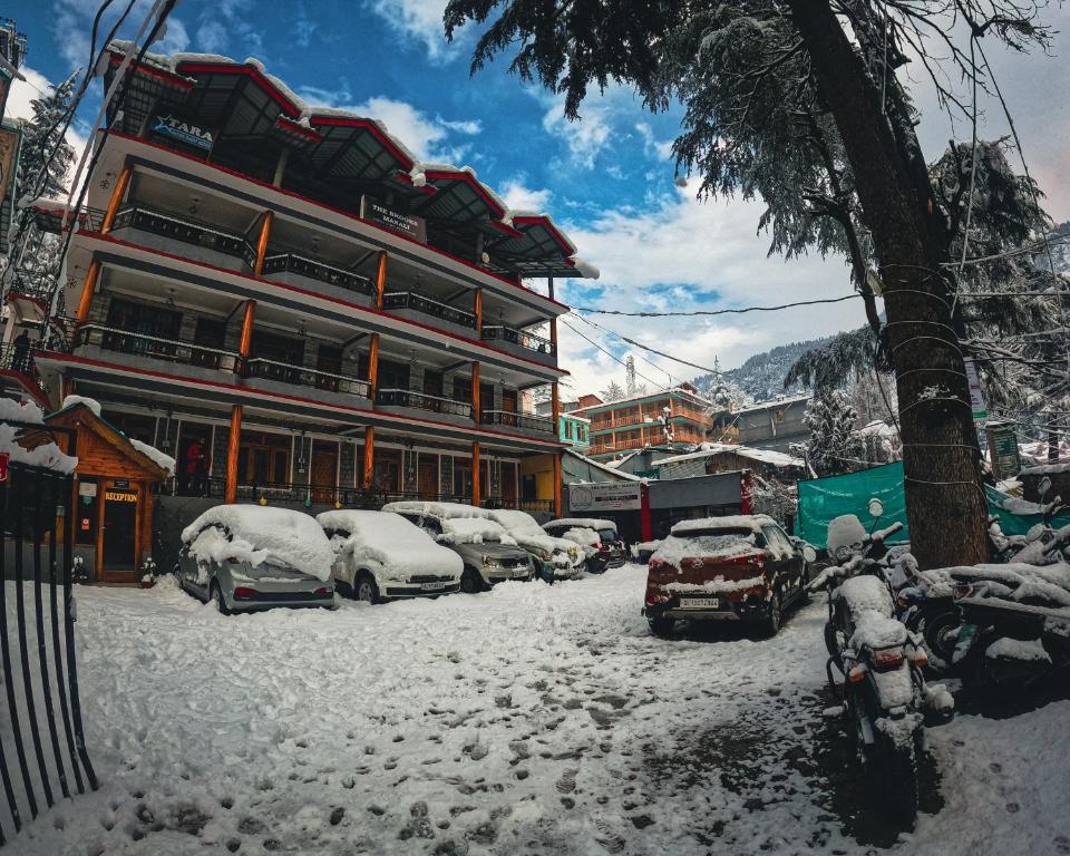 The Brooks, Manali