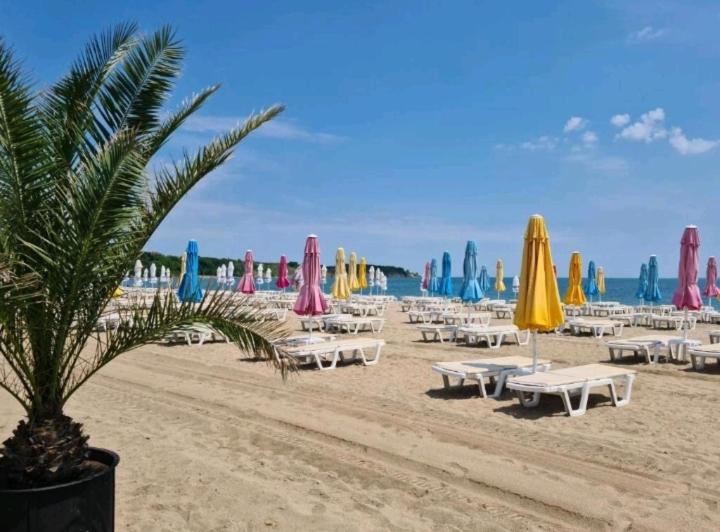Seaview apartment - Clara Sarafovo - 100m to sea photo