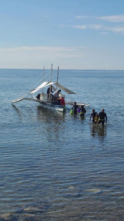 アクティビティ