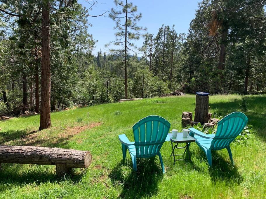 Serene Retreat! Amazing Views! Mountain Getaway.