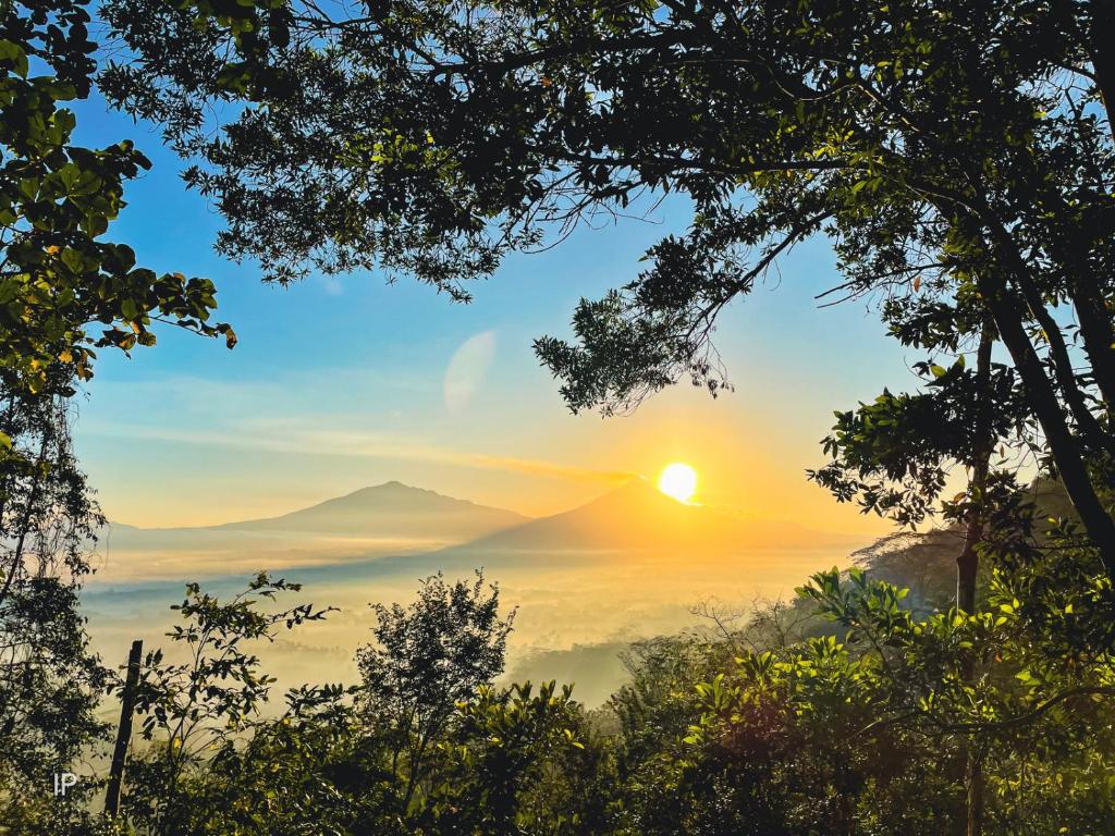 Surrounding environment