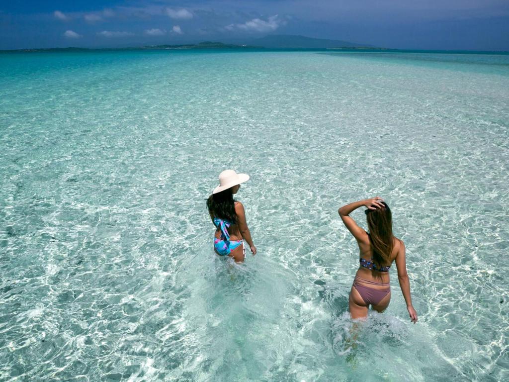 Surrounding environment