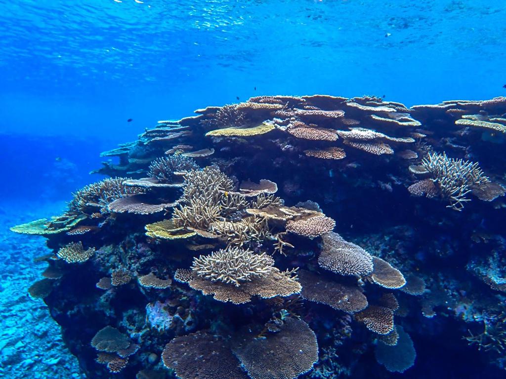 Surrounding environment