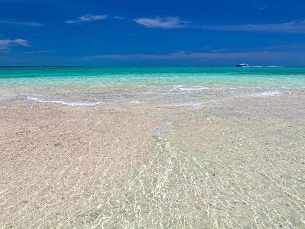 Surrounding environment