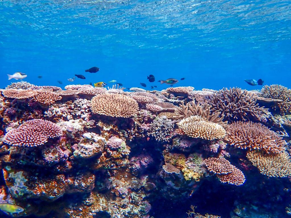 Surrounding environment