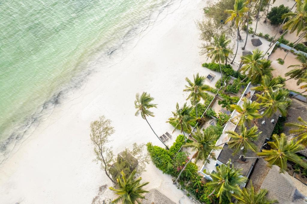 Surfescape Zanzibar — Hotel in Zanzibar
