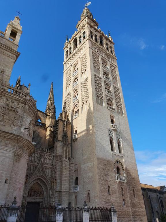 Hostal Puerta Carmona - 5