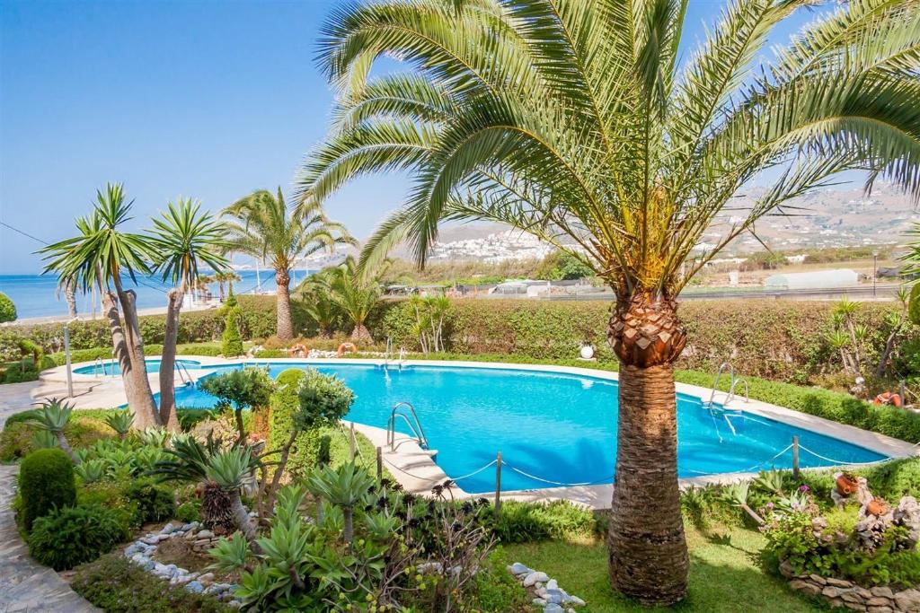 Stella Maris B3 BA Nerja - 3
