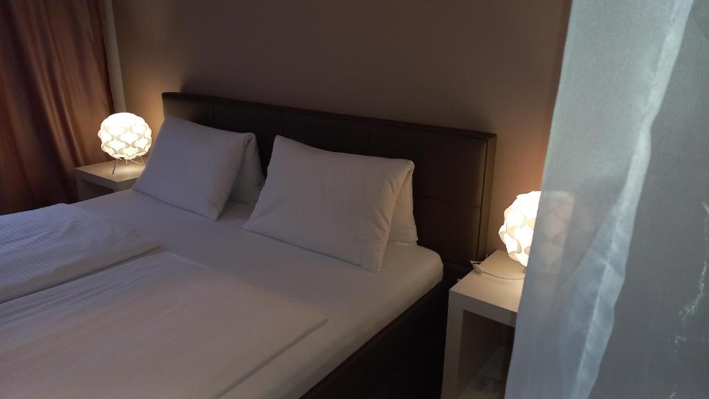Hotel Bila Pani photo