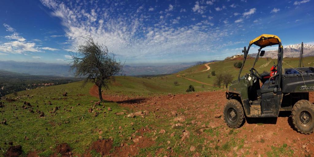 Sports and activities