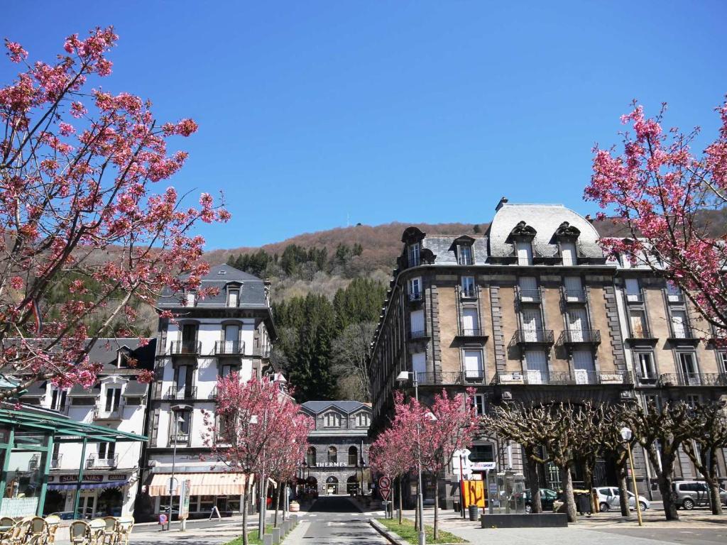 Studio confortable 4 pers au Mont-Dore - FR-1-608-148 - 3