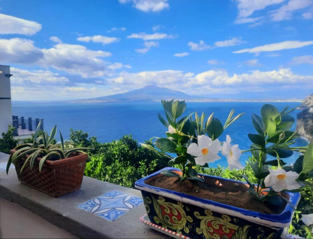 Dimora del Conte Sorrento coast seaview - 5