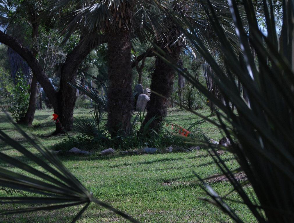 Cabanas en el Jardin Nativo photo