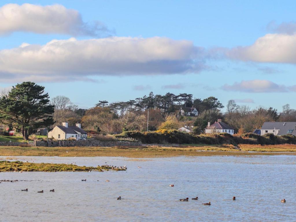 Isfryn, Pentraeth photo 8