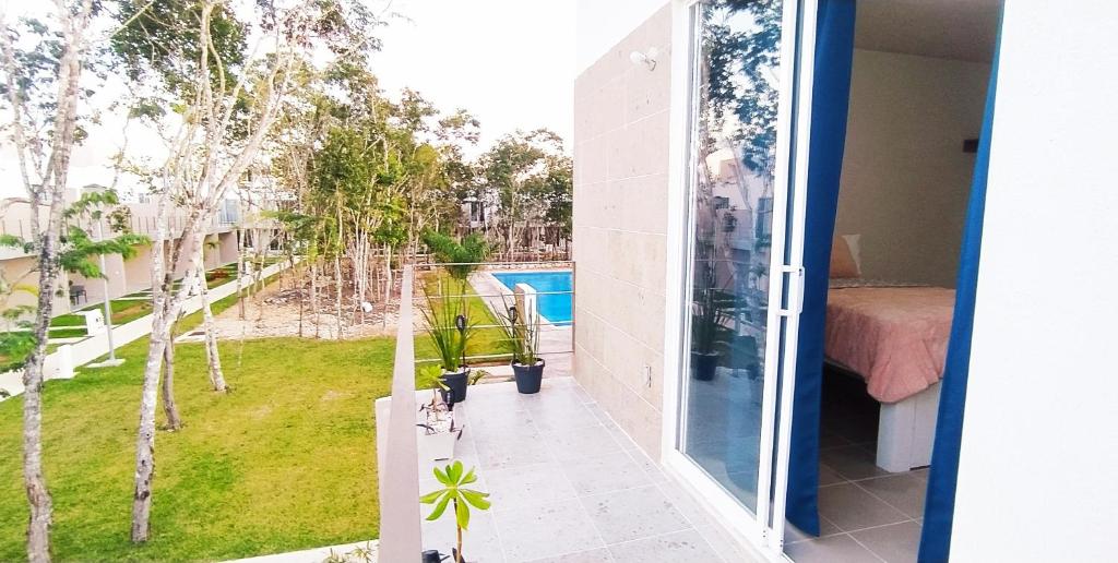 La Ceiba - 4
