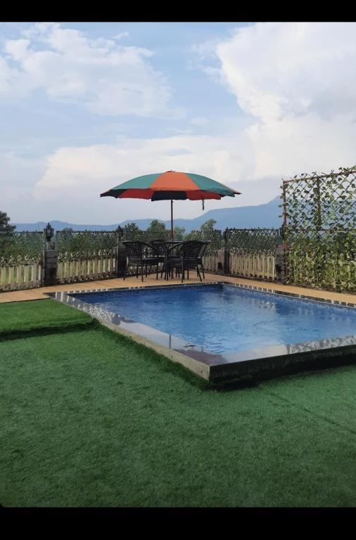 THE DECK photo