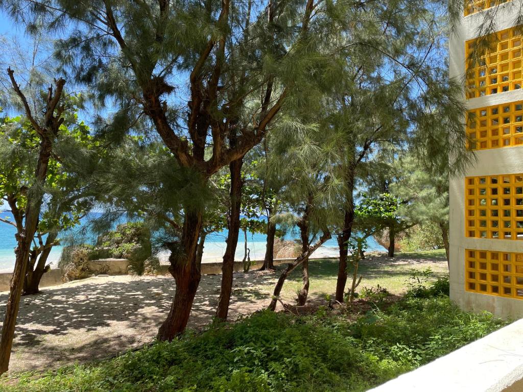 Surrounding environment