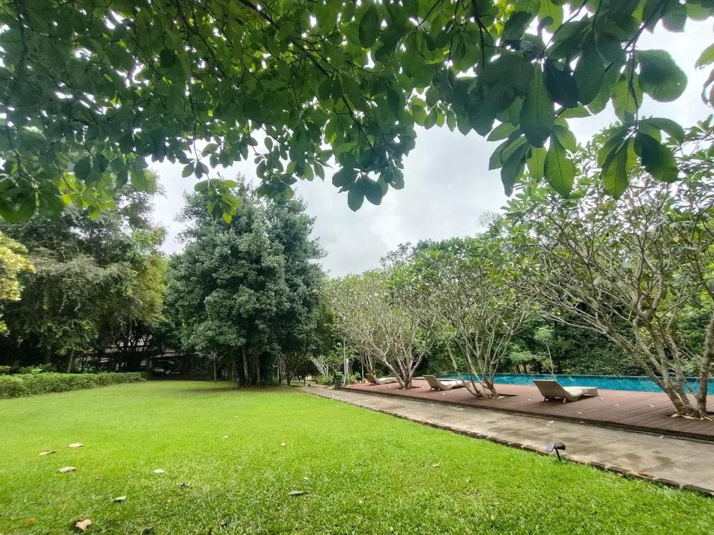 Surrounding environment